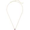 Kendra Scott Davie Pendant Necklace(18K GOLD VERMEIL – AMETHYST)